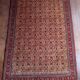 Handmade Shirvan Caucasian Rug 283x200ccm
