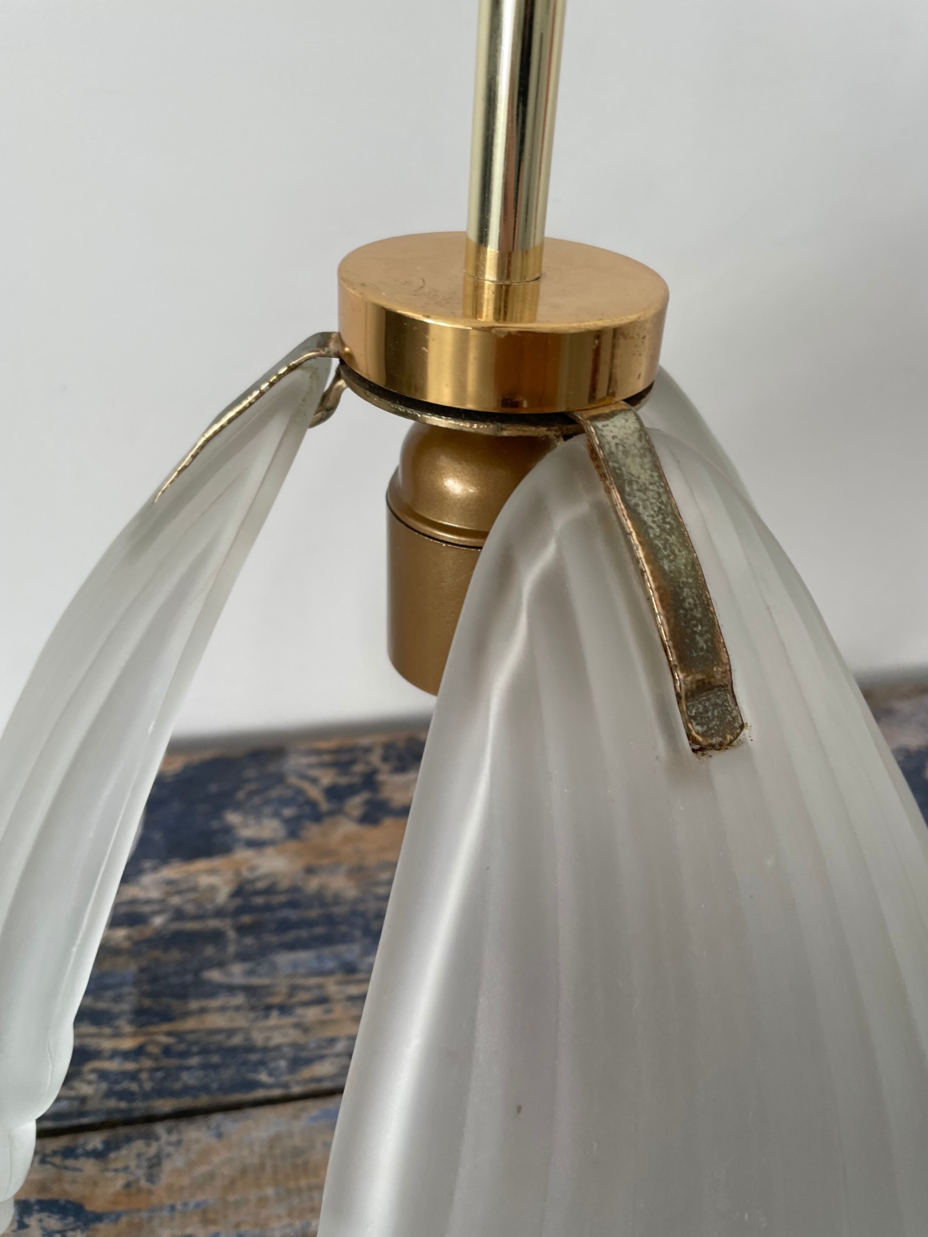 Shell suspension or shell in new electrified glass paste
