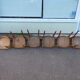 Lot de 6 chaises de bistrot bar en bois