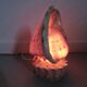 Lampe coquillage "cassis cornita" années 70