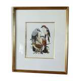 Birds - collection Hepatior N ° 16