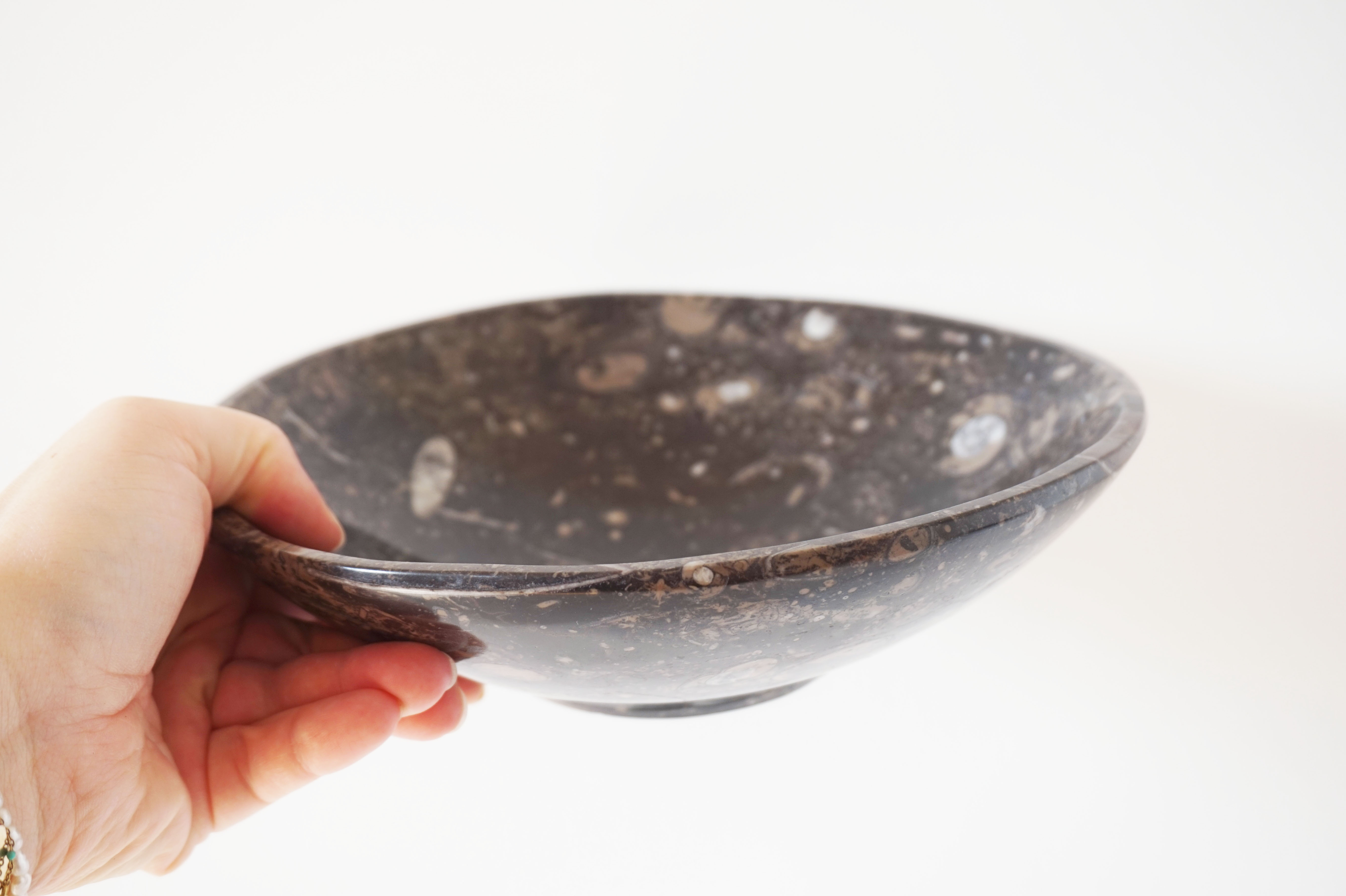 Empty pocket in fossilized black marble