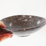 Empty pocket in fossilized black marble