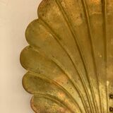 Pair of shell sconces