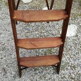 Library ladder