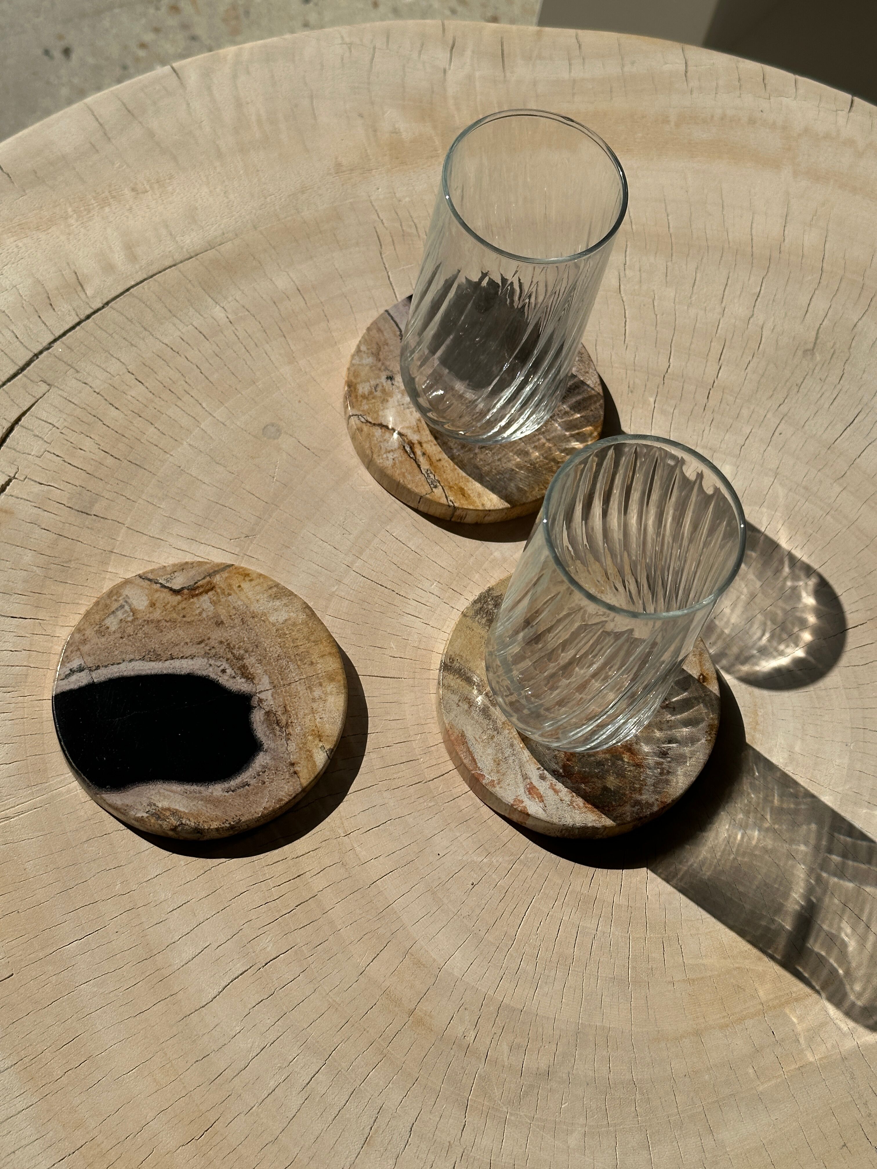 Set of 3 fossilized wooden coasters (clear)