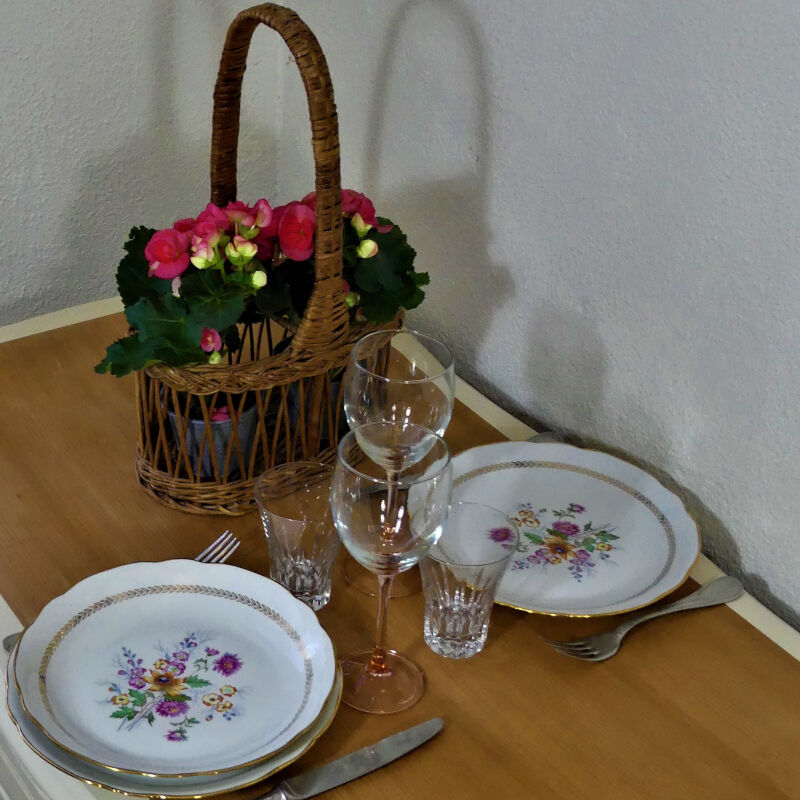 Antique porcelain table plates stamped C.N.P
