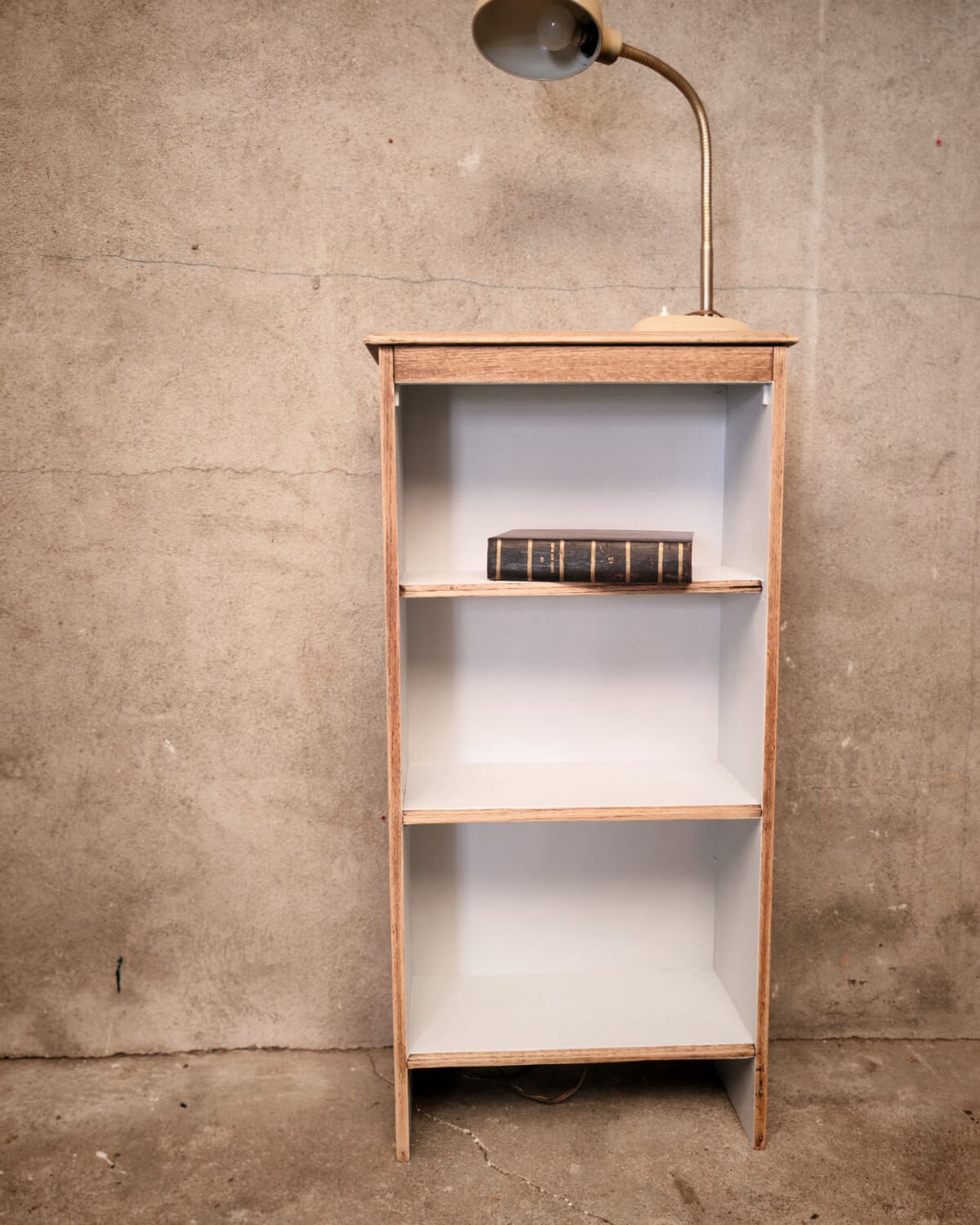 Petite bibliothèque ou cabinet de curiosités
