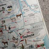 MDI Economic Map Poster - Pyrenees, Aquitaine Basin, Alps and Jura
