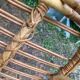 Set of 10 vintage rattan chairs