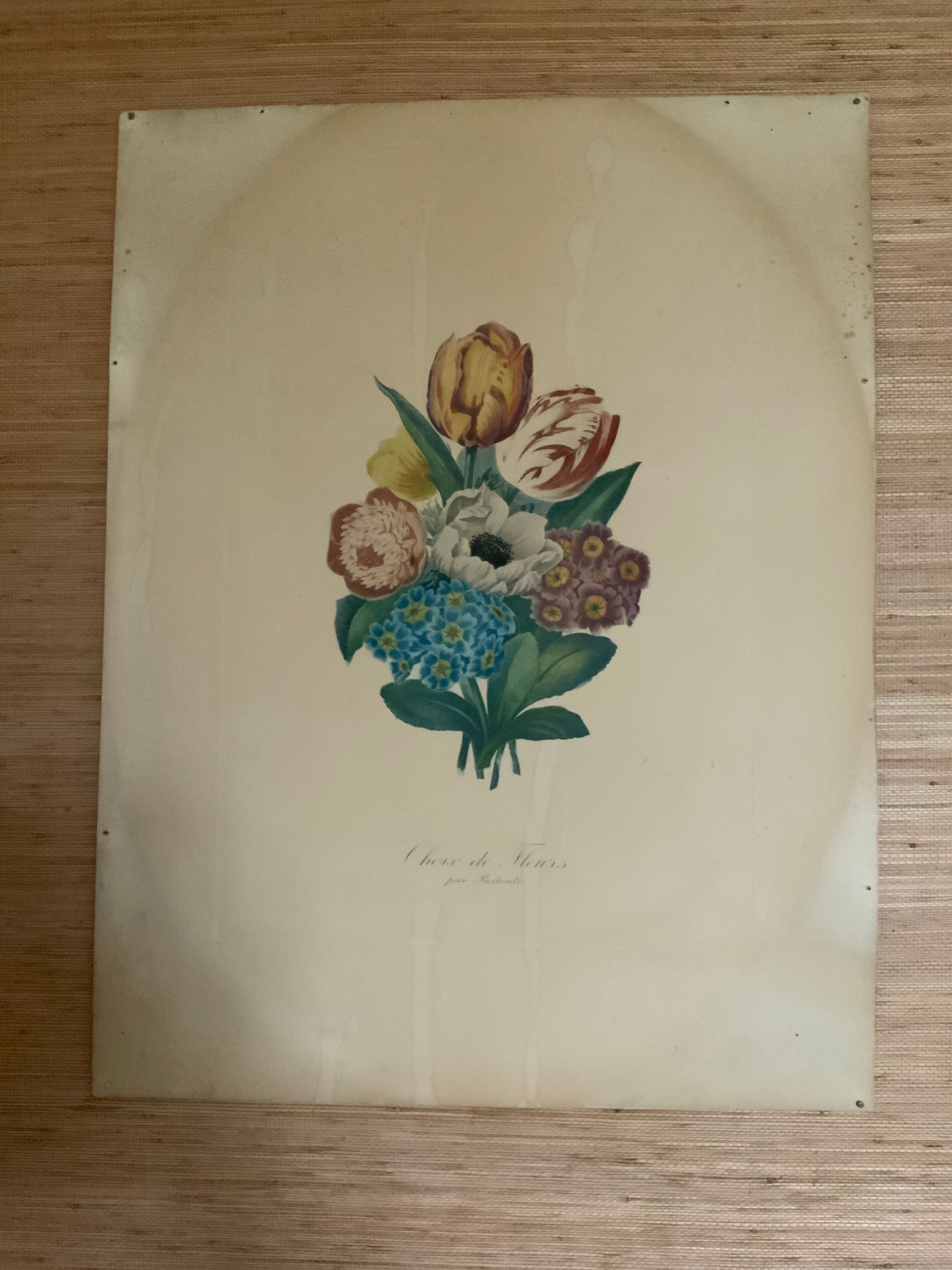 Pair of plates or botanical engravings XVIII
