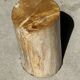 Small orange petrified wood side table H28 D18 - 3332