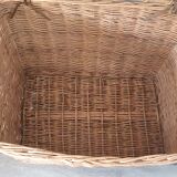 Wicker trunk