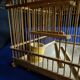 cage à oiseaux ancienne