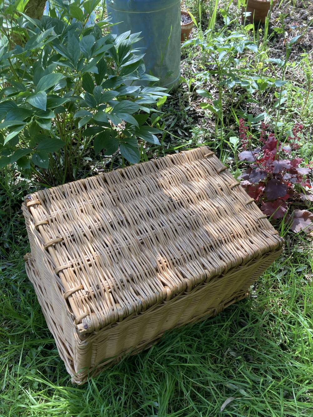 Vintage wicker basket with closure and handle
