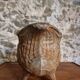 Antique French cast iron planter