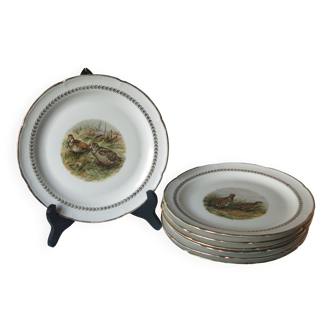 7 assiettes plates en porcelaine Pate et Emaux de Limoges en bon état