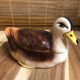 Little duck in slip