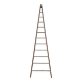 Échelle de maraîcher récolte fruitière en bois ancien -3m65