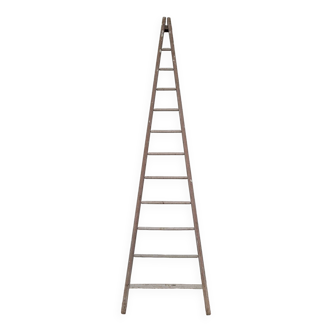 Old wooden fruit harvest market gardener's ladder - 3m65