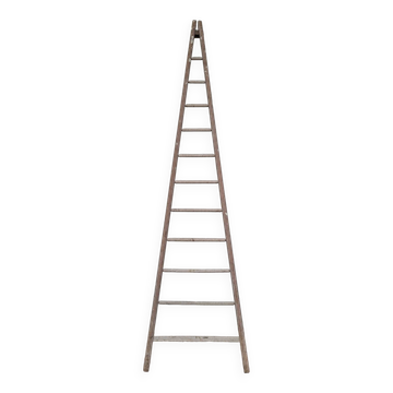 Old wooden fruit harvest market gardener's ladder - 3m65