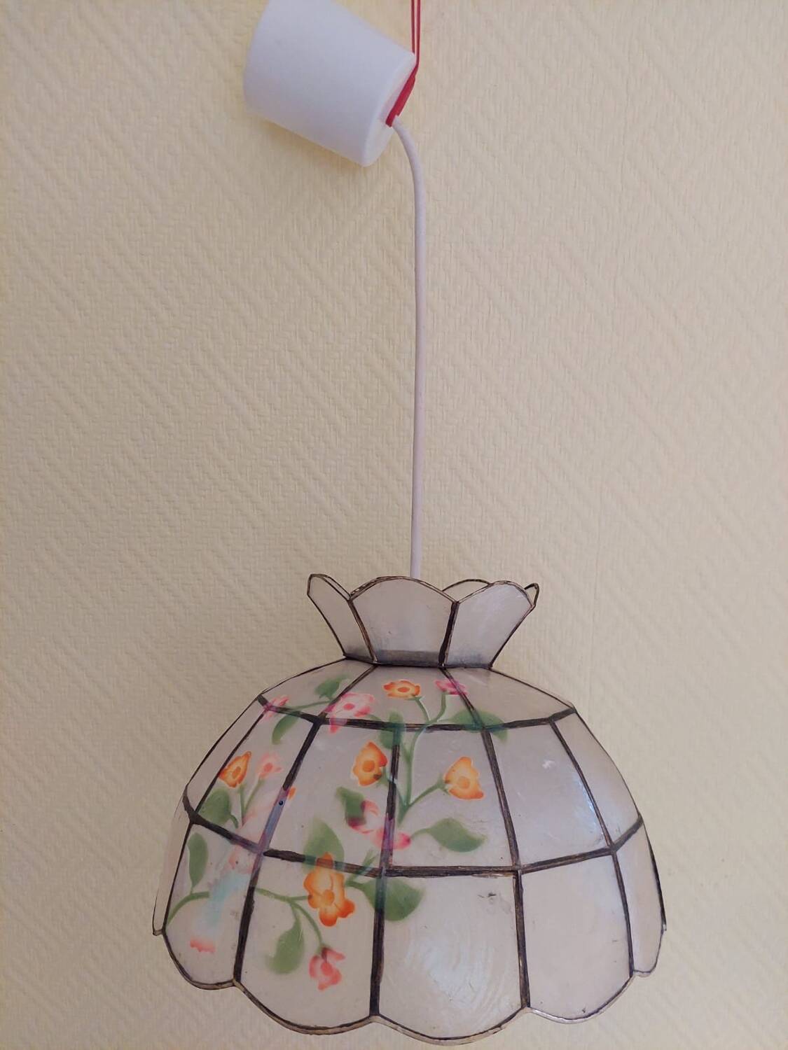 Hand-painted mother-of-pearl pendant light