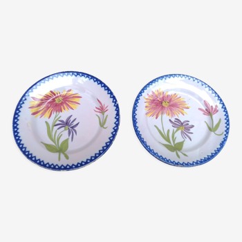 Assiettes en porcelaine a decor floral