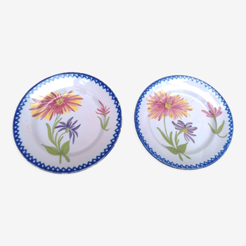 Porcelain plates with floral decoration