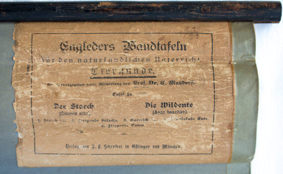 🔎Affiche "Stork" by j. F. Schreiber 1893