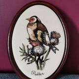 Goldfinch bird frame
