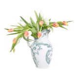 Pitcher, Keller and Guerin, Petunia, Iron Earth