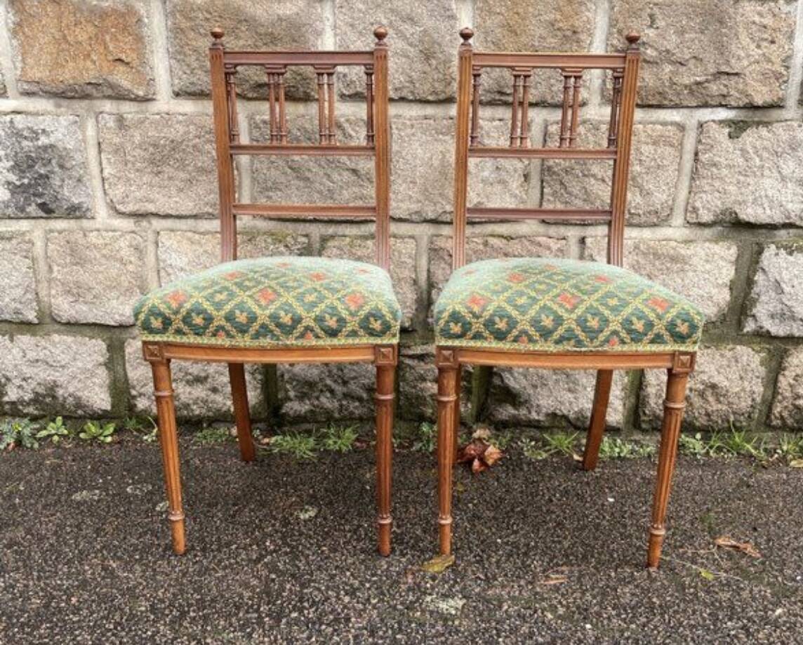 2 Napoleon III chairs upholstered in tapestry