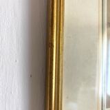 Painting on silk flowers gilded frame