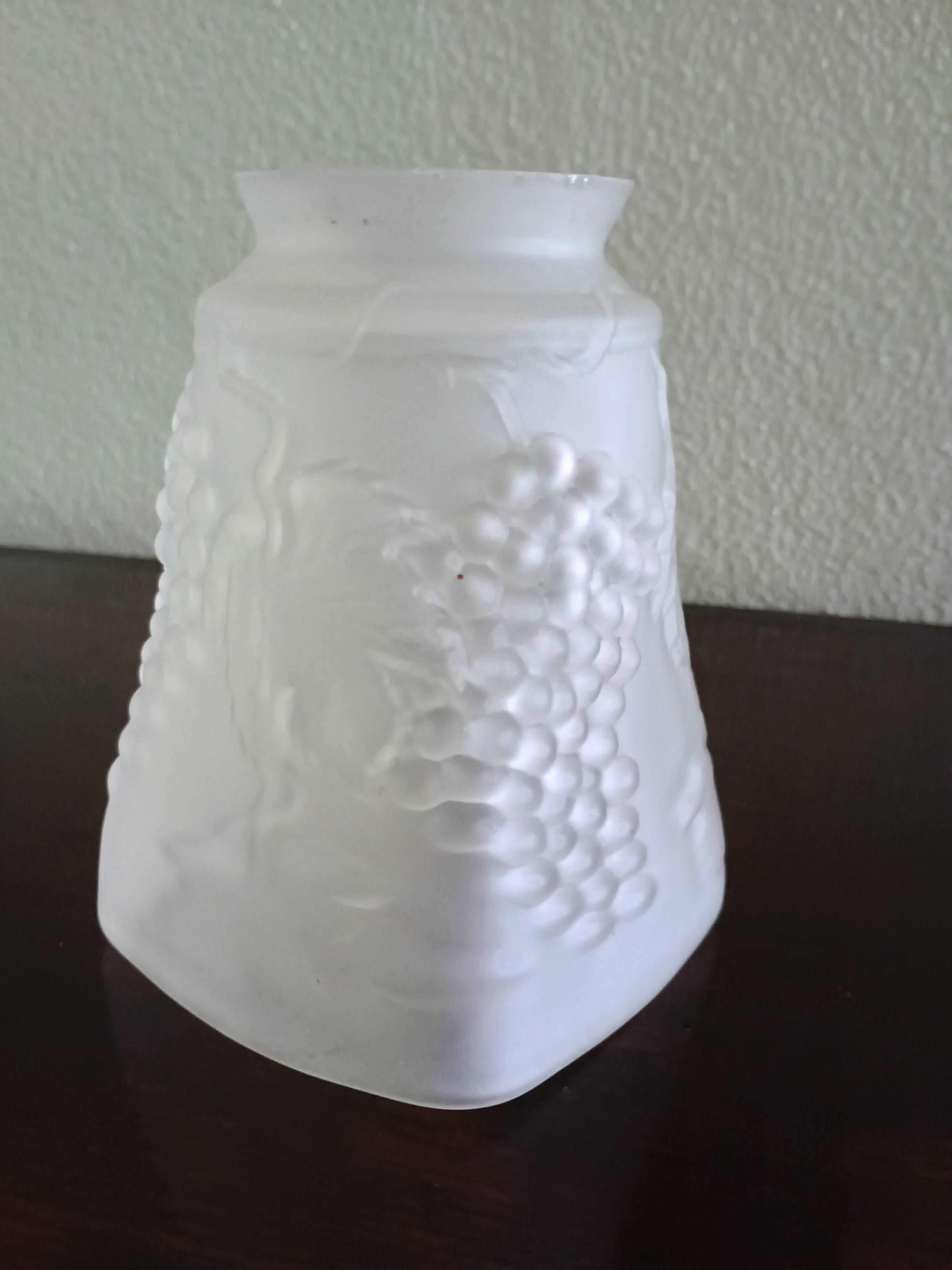 Tulipe lustre ou lampe moulé aux pampre de vigne raisin - verre dépoli