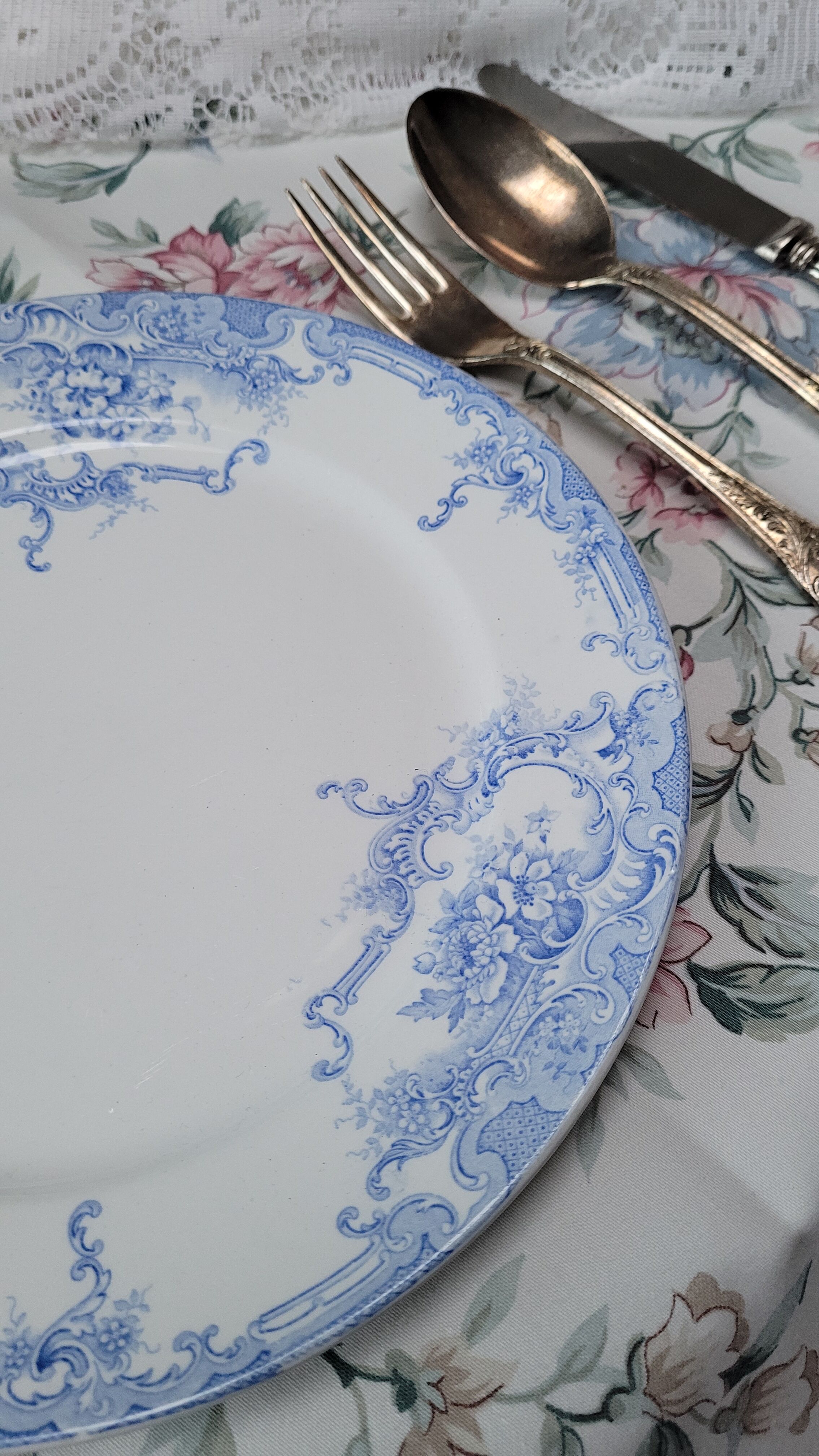 Flat plate Dauphin BFK