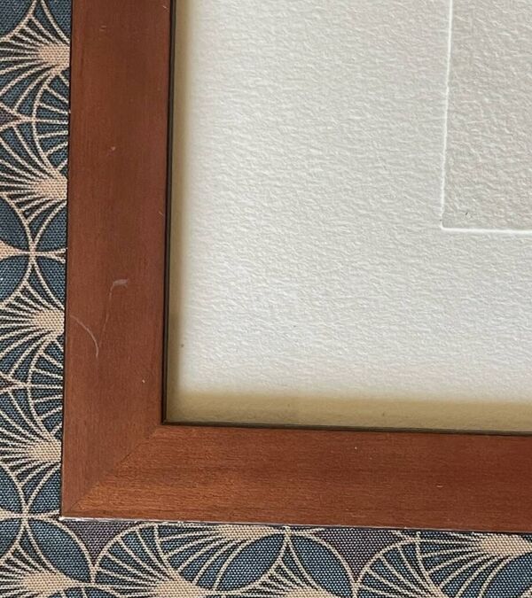 François Boucq (1955) - Les Aventures de Jérôme Moucherot - Lithographie