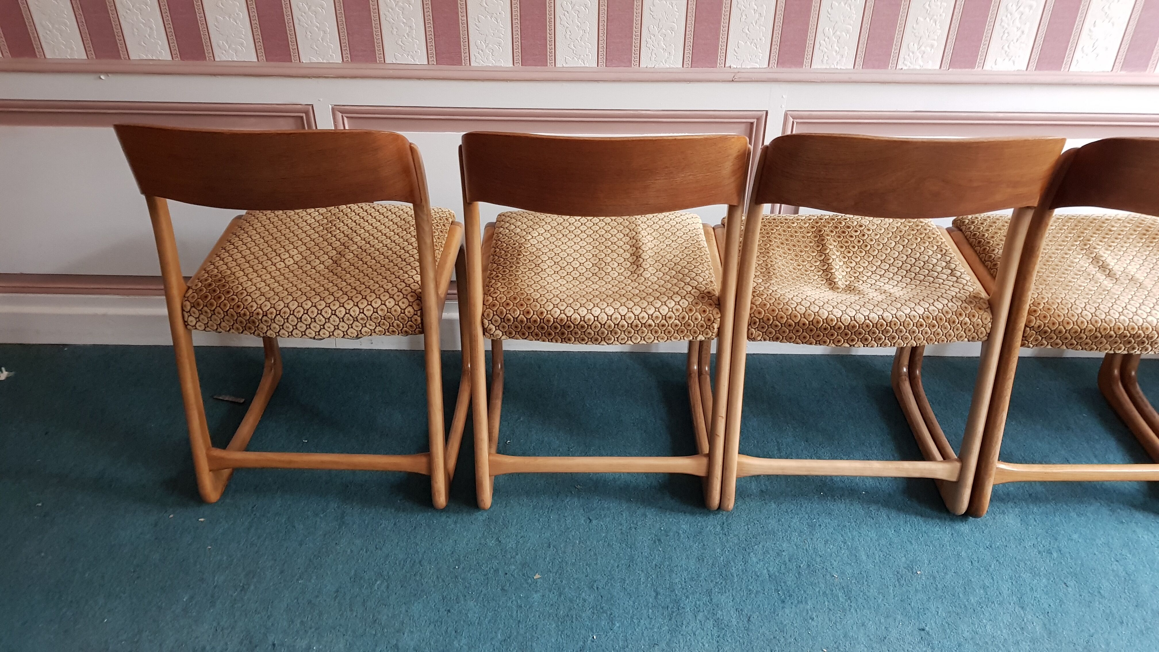 Set of 6 chairs Baumann vintage sled