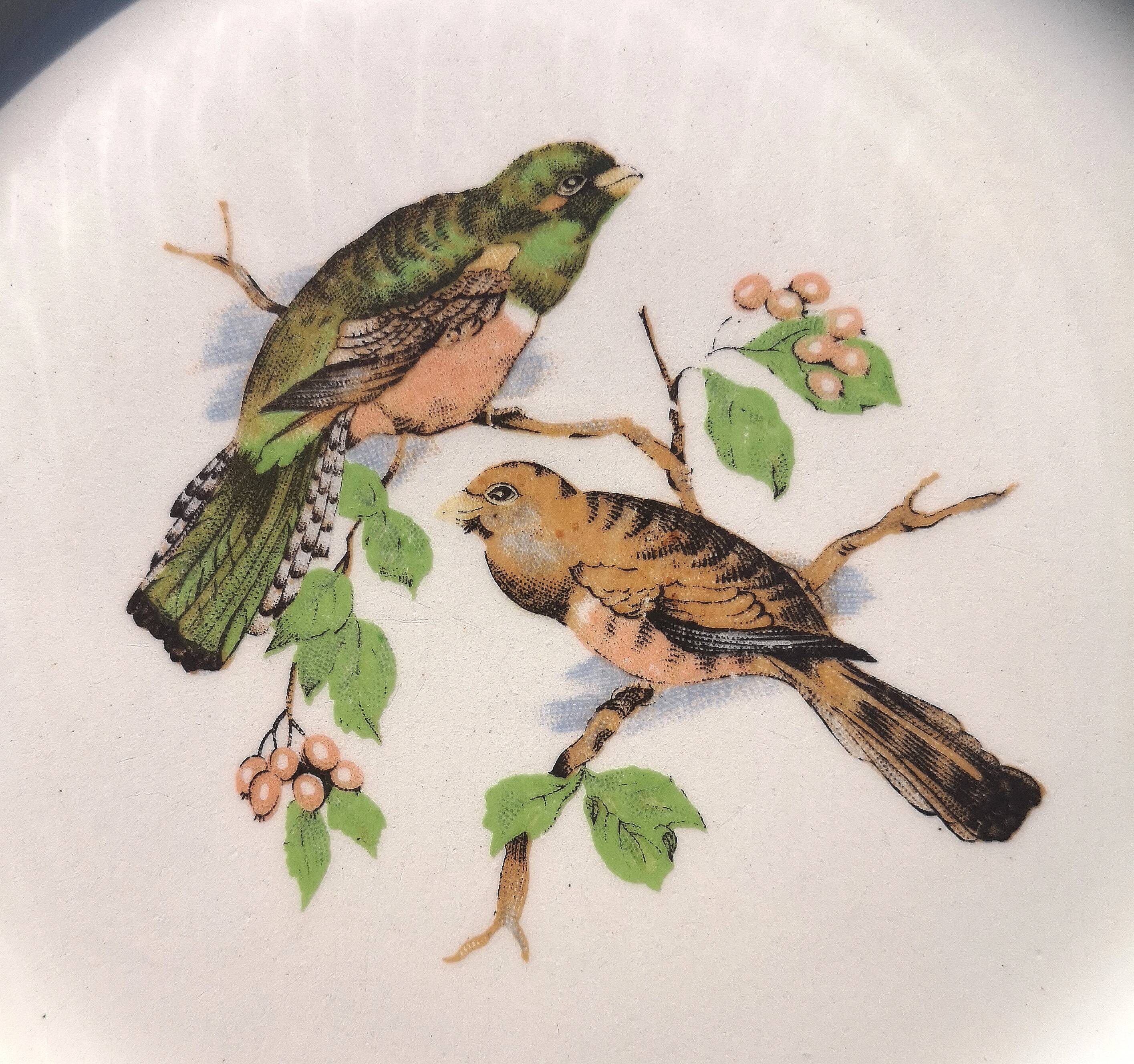 Flat plates "birds" badonviller