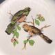 Flat plates "birds" badonviller