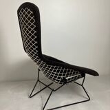 Bird Model Armchair by Harry Bertoia for Knoll, 1970s