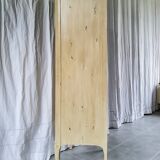 Bookcase with patinated partitions