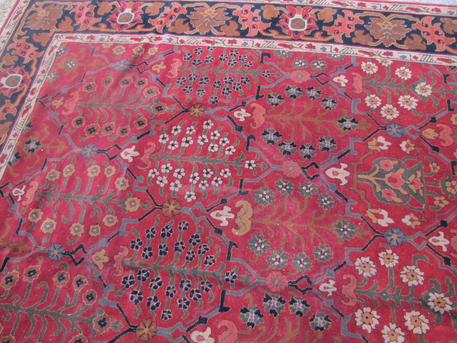 Carpet old french points janus done hand 245X345cm