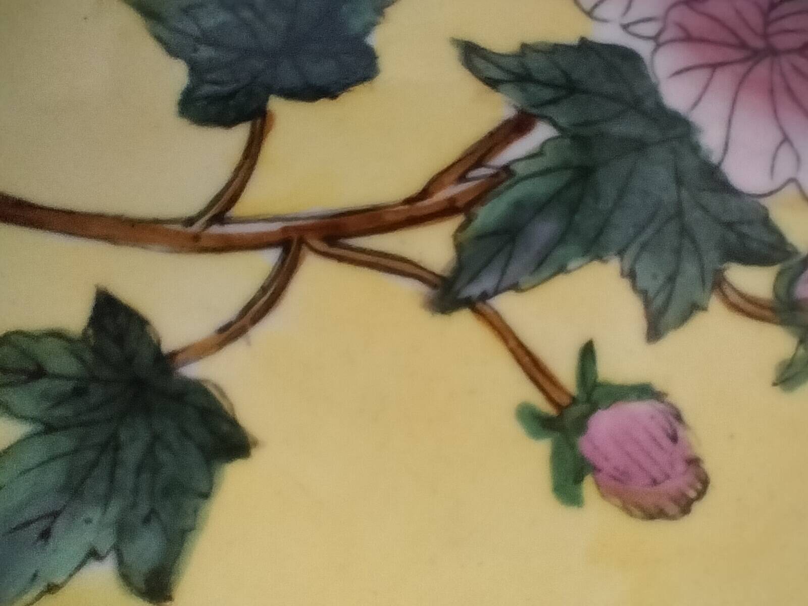 Pair of vintage Chinese decorative plates with floral decoration on a yellow background