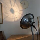 Cobra parabolic lamp with enameled cast iron base, Art Nouveau.