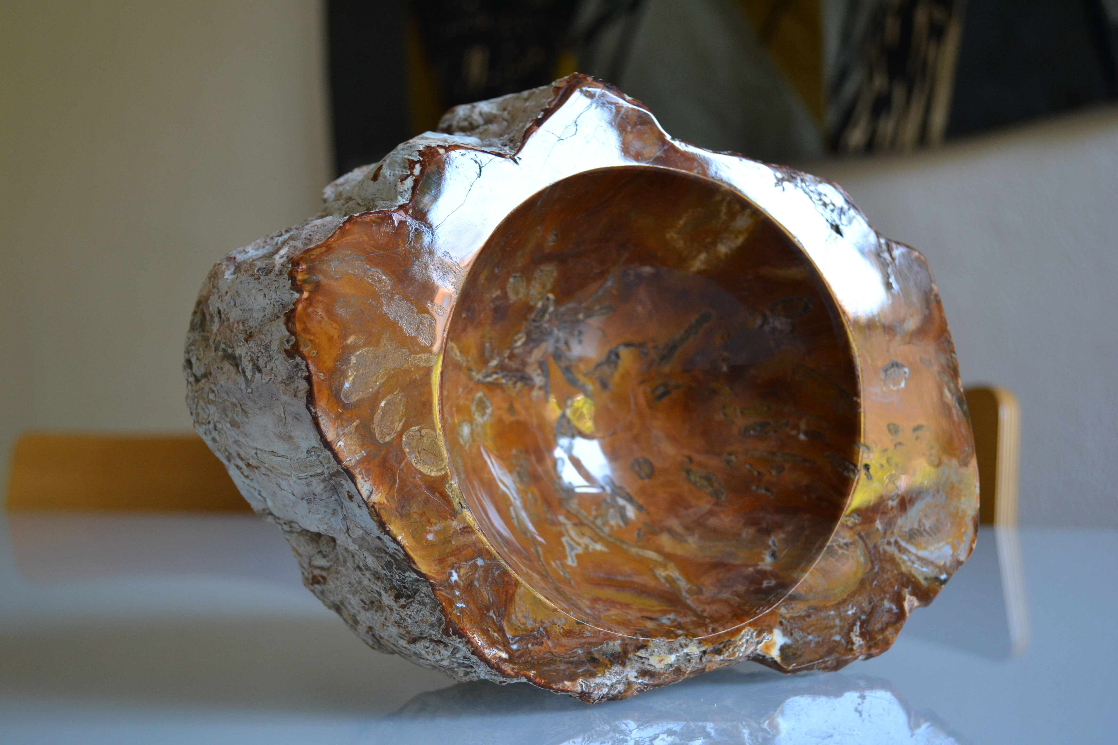 Empty pocket or ashtray in fossilized wood