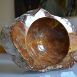 Empty pocket or ashtray in fossilized wood