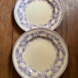Two plates serve lavender-colored iron earth.