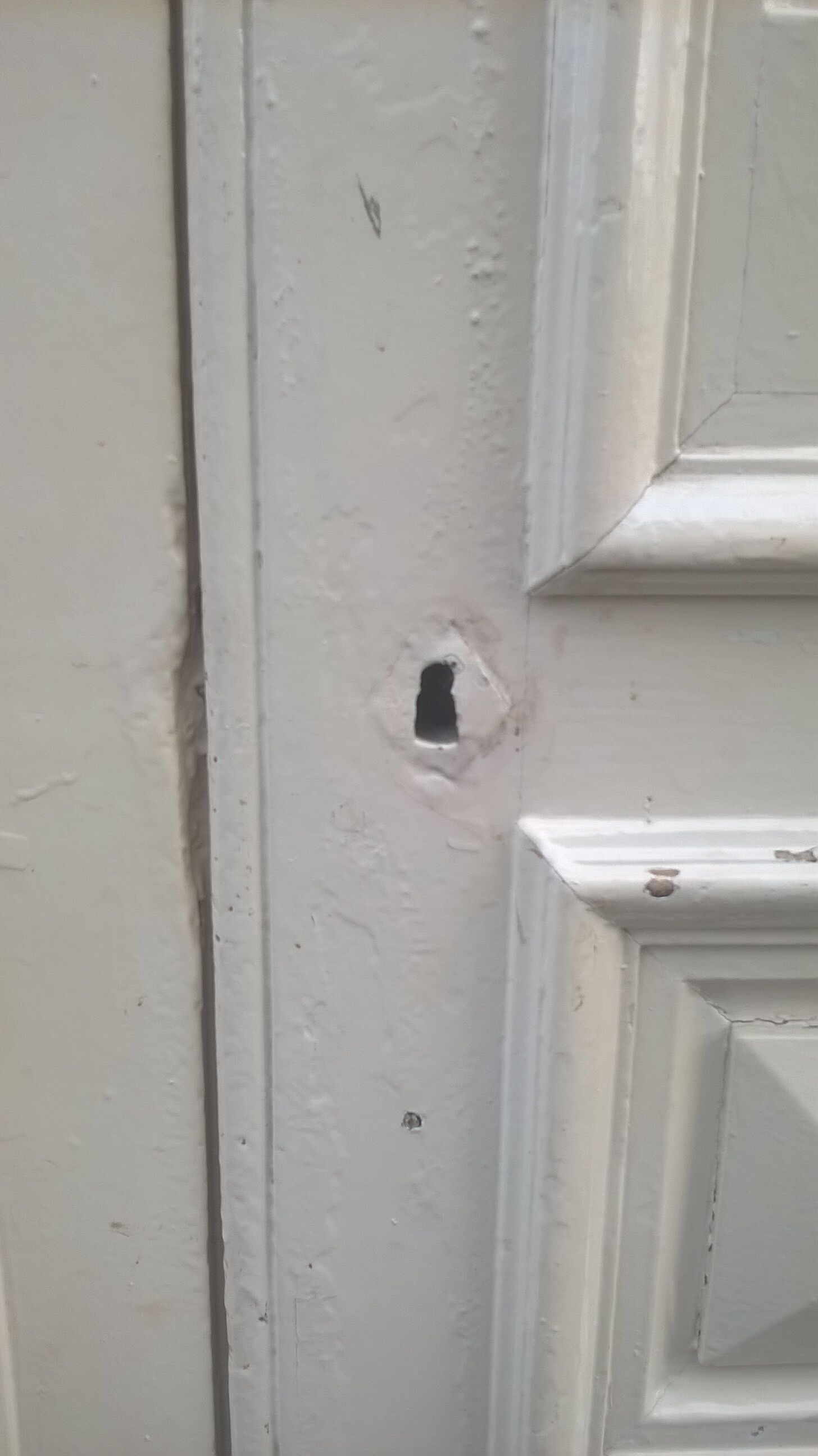 Old Haussmann double doors