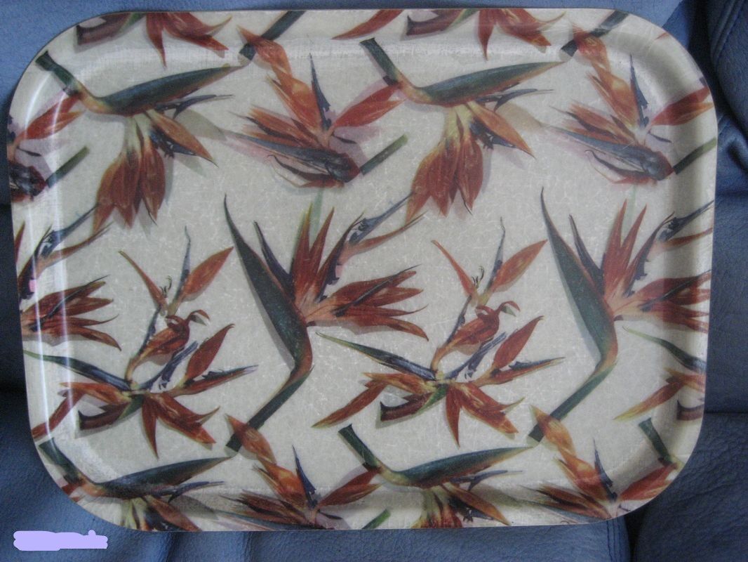 Plateau birds of paradise fiberglass Manover