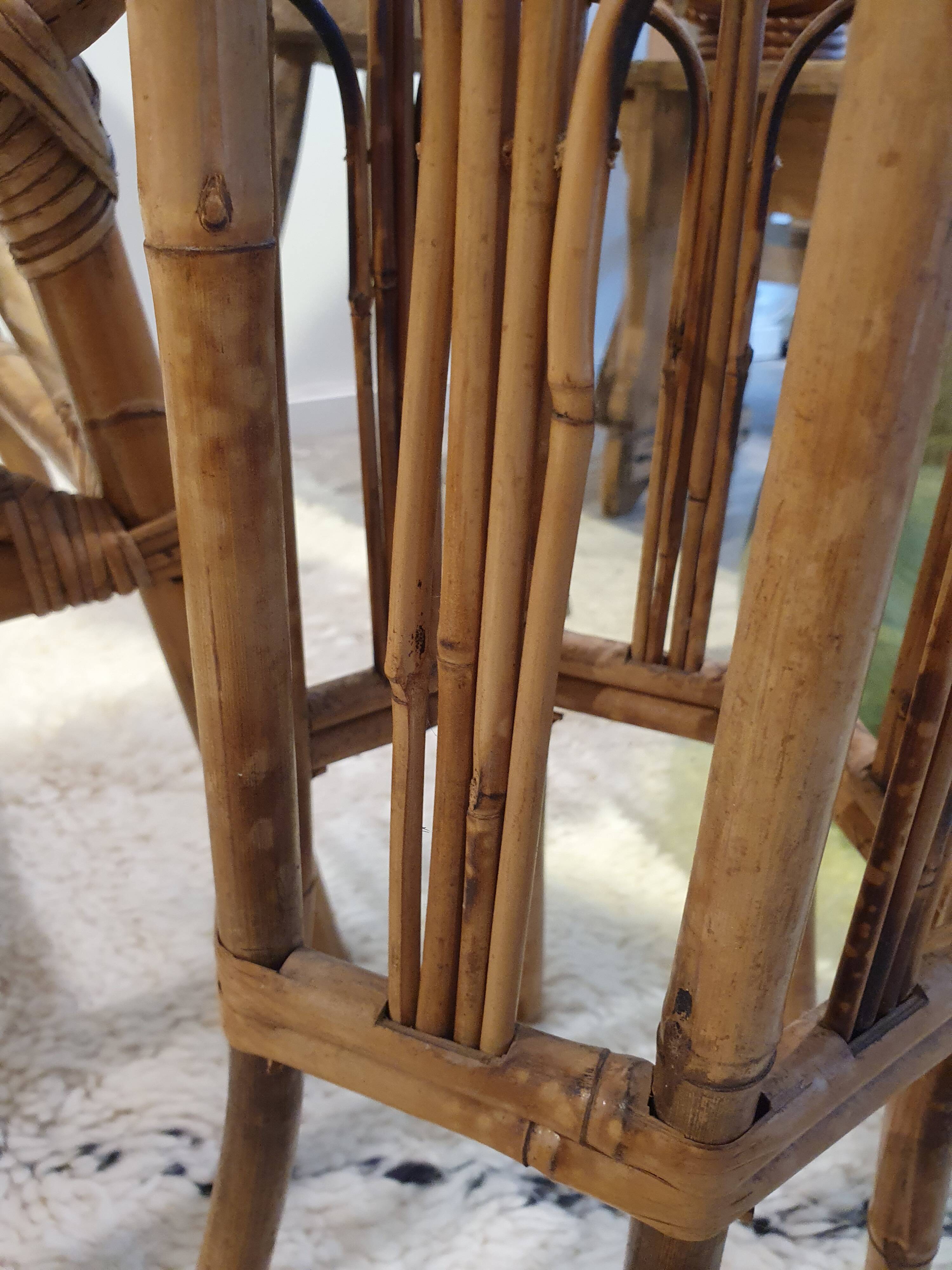 Rattan harness
